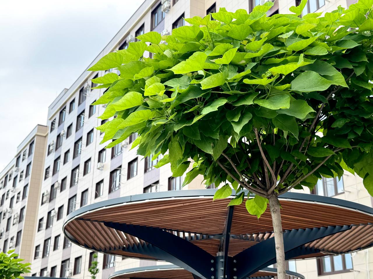 Галерея  ЖК Мега-Победа 2 очередь 5