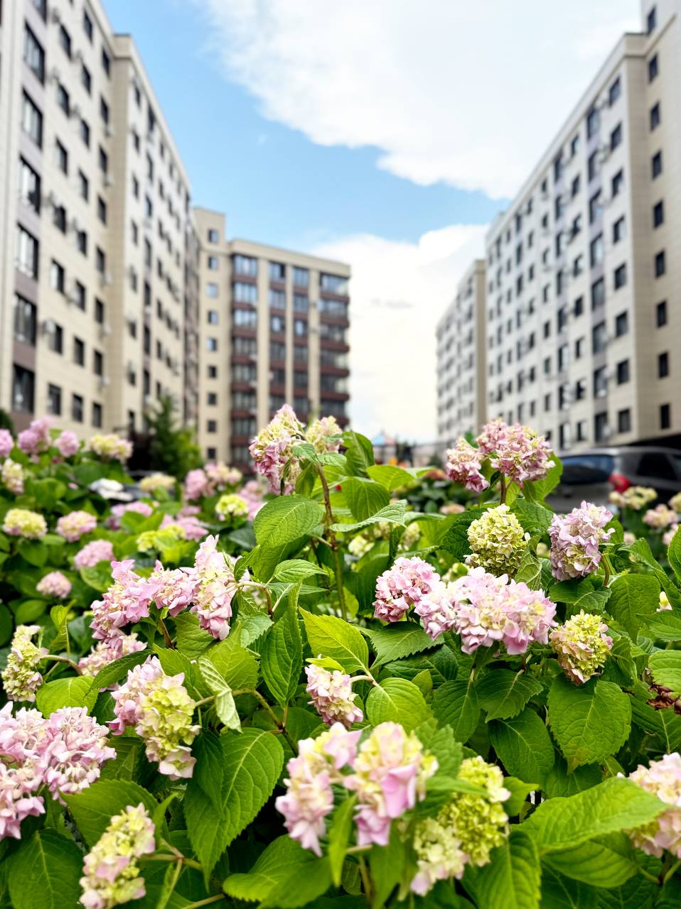 Галерея  ЖК Мега-Победа 2 очередь 1